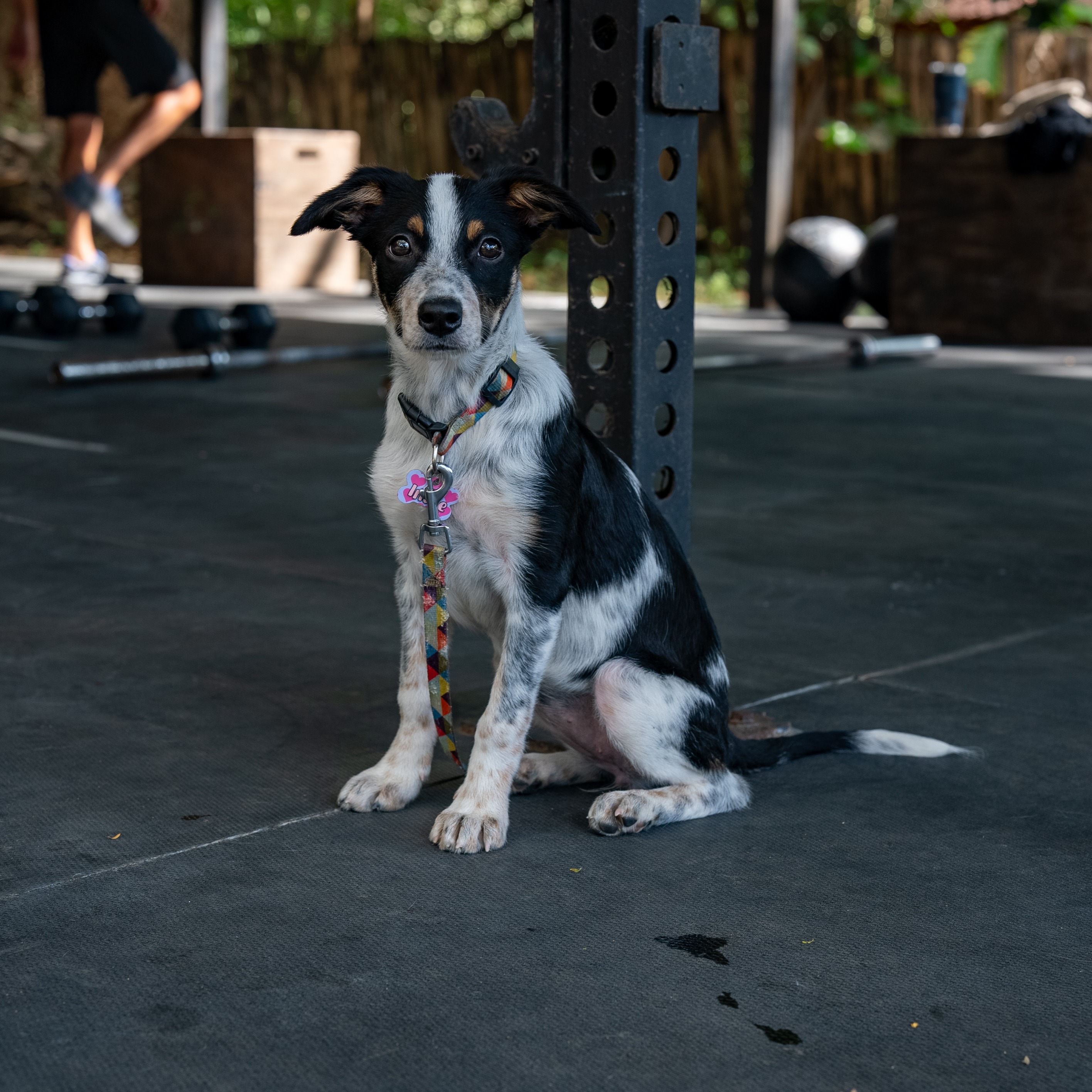 Crossfit-00147