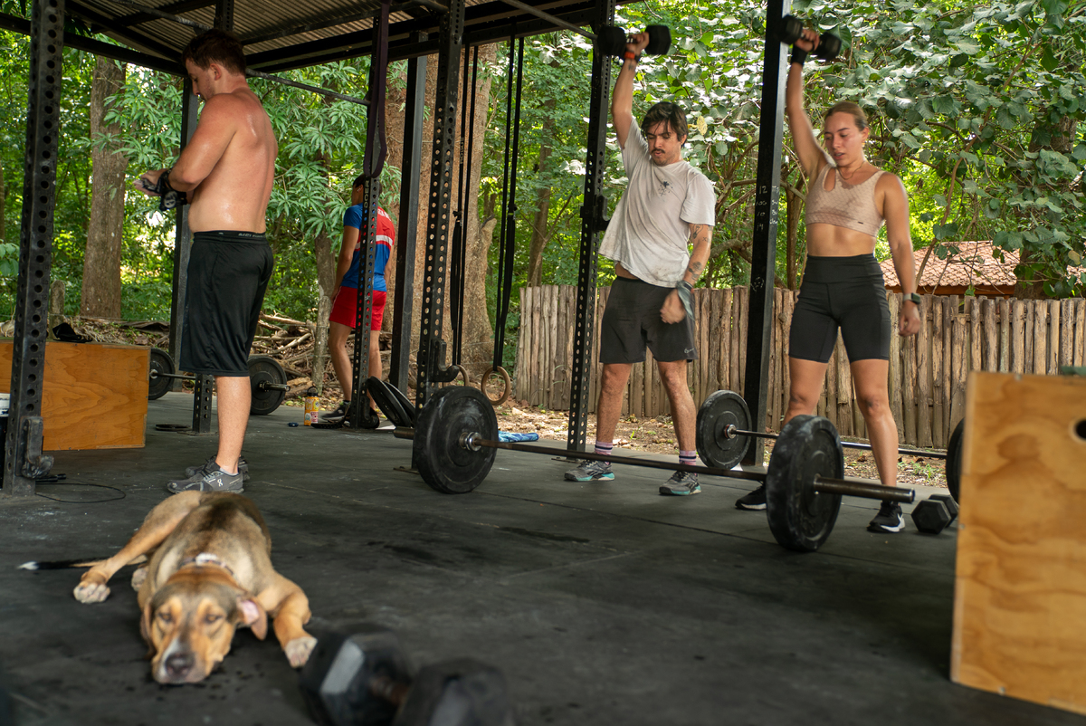 Everyone Working Out